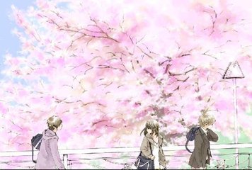 未满18周岁禁止入内网站